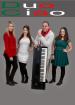 HOCHZEIT musik Geburtstag Fasching Sommerfest Taufen Kommunion etc ITALIENISCH D